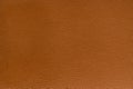 Brown artificial leather with large texture. Artificial skin. Close-up. Background. Texture Royalty Free Stock Photo