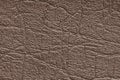 Brown artificial or synthetic leather background with neat texture and copy space Royalty Free Stock Photo