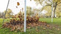 Brown autumn leafs blown into and caught in the back of a football soccer net