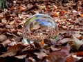 Autumn leaves in lensball