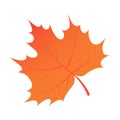 Brown autumn tree leaf icon, isometric style Royalty Free Stock Photo