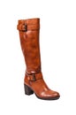 Brown autumun leather boots for women Royalty Free Stock Photo