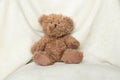 Brown baby teddy bear on a white soft blanket