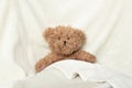 Brown baby teddy bear on a white soft blanket