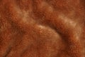 Brown texture of natural fur on a piece of fur coat Royalty Free Stock Photo