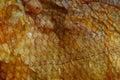Brown texture of fine scales of smoked fish Royalty Free Stock Photo