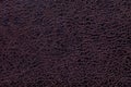 Brown background from a soft upholstery textile material, closeup Royalty Free Stock Photo