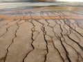 Brown bacterial mats near Grand Prismatic Spring in Yellowstone National Park