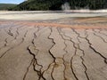 Brown bacterial mats near Grand Prismatic Spring in Yellowstone National Park