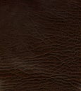 Brown Bag Leather Texture Royalty Free Stock Photo