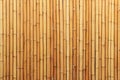 Brown Bamboo Background