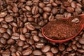 Brown bamboo spoon with ground coffee, lies on roasted coffee beans, close up Royalty Free Stock Photo