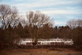 Brown bare trees and branches in front of white building in Berlin Royalty Free Stock Photo