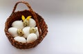 Brown basket with chicken and quail eggs on a light background. An egg with plasticine ears, like an Easter rabbit. Easter concept