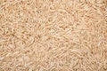 Brown basmati rice Royalty Free Stock Photo
