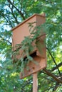 Brown bat box hidden in the trees and wilderness in north america handing from a metal post in the ground Royalty Free Stock Photo