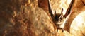 A Brown Bat Flying Through a Cave at Dusk Royalty Free Stock Photo