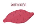 Brown batat, sweet potato. Organic healthy vegetable