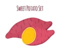 Brown batat, sweet potato and slices. Organic healthy vegetable