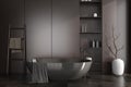 Brown bathroom interior with bathtub and shelf with accessories. Empty wall Royalty Free Stock Photo