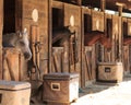 Brown bay horse view out the stable in a barn Royalty Free Stock Photo