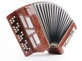 Brown bayan (accordion)