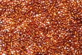 Brown beads Royalty Free Stock Photo