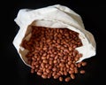 Brown beans in a canvas bag