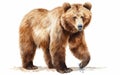 Brown Bear against a White Background -Generative Ai Royalty Free Stock Photo
