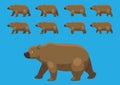 Brown Bear Animation Walking Cartoon Vector Illustration