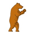 Brown Bear Boxing Stance Drawing