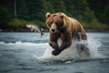 Brown bear chasing a salmon in the river. Kamchatka. Brown bear catches a salmon in the river, AI Generated