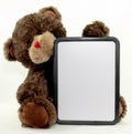 Brown Bear Dry Erase Board Royalty Free Stock Photo