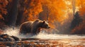 Brown Bear Emerging from a River in an Autumn Forest Royalty Free Stock Photo