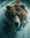Brown Bear Emerging from Water Splash Royalty Free Stock Photo