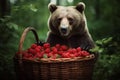 Brown bear in the forest is foraging for wild berries. Created with Generative AI technology.