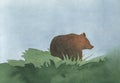 Brown bear in the grass watercolor illustration Royalty Free Stock Photo