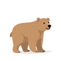 Brown bear illustration without background with gray shadow at bottom flat vector Royalty Free Stock Photo