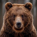 Brown bear, king of the forest - AI generated image Royalty Free Stock Photo