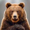 Brown bear, king of the forest - AI generated image Royalty Free Stock Photo