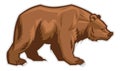 Brown bear mascot