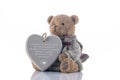 Brown bear money-box with heart Royalty Free Stock Photo