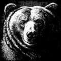 Brown Bear Portrait in Engraving Style, White on a Black Background. AI generated.