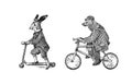 Brown bear rides a bike. Hare or rabbit on a scooter. Antique gentleman in a cap and coat. Victorian Ancient Retro