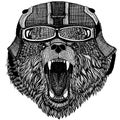 Brown bear Russian bear Animal wearing motorycle helmet. Image for kindergarten children clothing, kids. T-shirt, tattoo