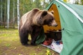 A brown bear stands next to a tourist tent in the middle of a campsite. Generative AI