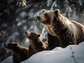 Brown bear (Ursus arctos beringianus) mother and cubs in winter forest