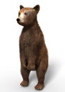 The cute Bear Cub, 3D Illustration