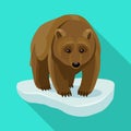 Brown bear vector icon.Flat vector icon isolated on white background brown bear. Royalty Free Stock Photo