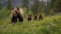 brown bear walking in the forest with her cubs Royalty Free Stock Photo